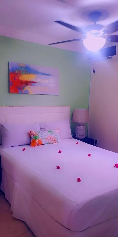 Aparthotel Sea Piton View Apartment- Location, Convenience, Modern Living Soufriere
